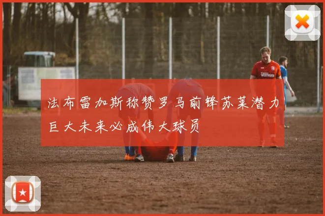 法布雷加斯称赞罗马前锋苏莱潜力巨大未来必成伟大球员