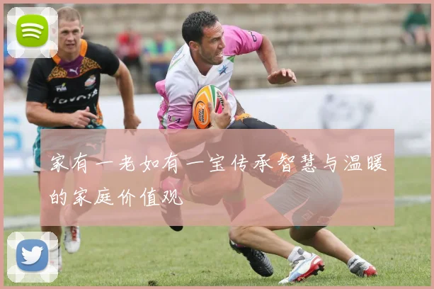 家有一老如有一宝传承智慧与温暖的家庭价值观