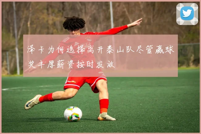 泽卡为何选择离开泰山队尽管赢球奖丰厚薪资按时发放