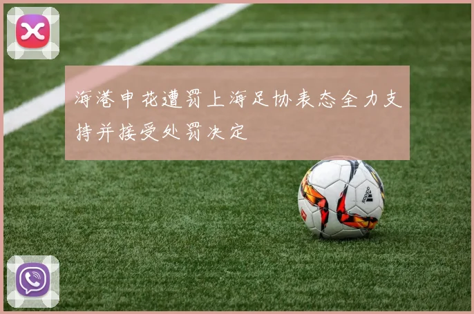 海港申花遭罚上海足协表态全力支持并接受处罚决定