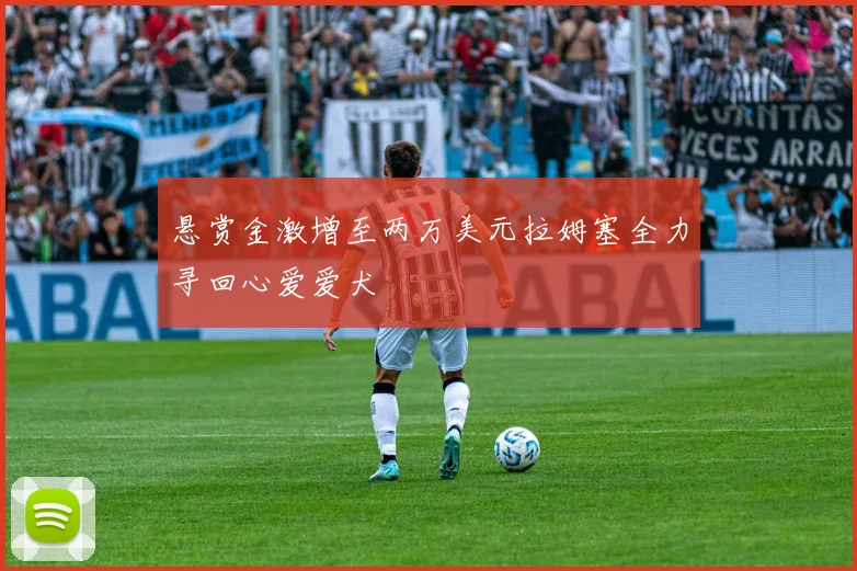 悬赏金激增至两万美元拉姆塞全力寻回心爱爱犬